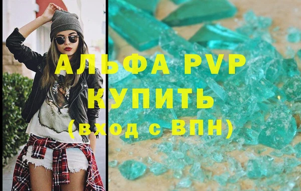 индика Арсеньев