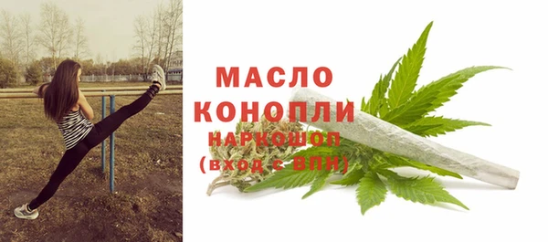 индика Арсеньев