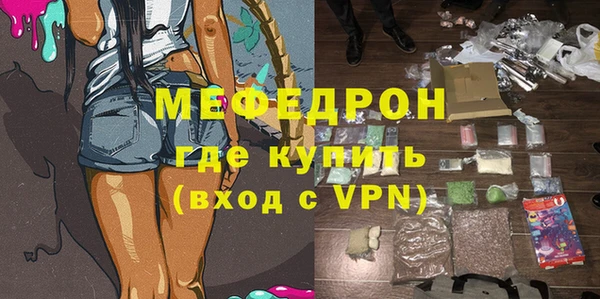 индика Арсеньев