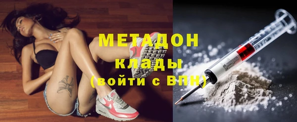 индика Арсеньев