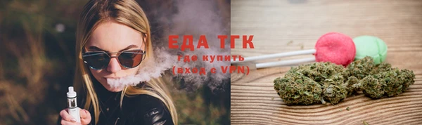 индика Арсеньев
