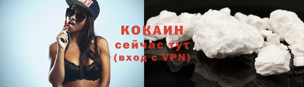 индика Арсеньев