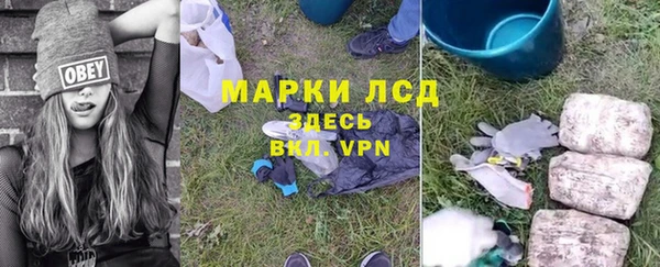 индика Арсеньев