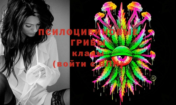 2c-b Аркадак