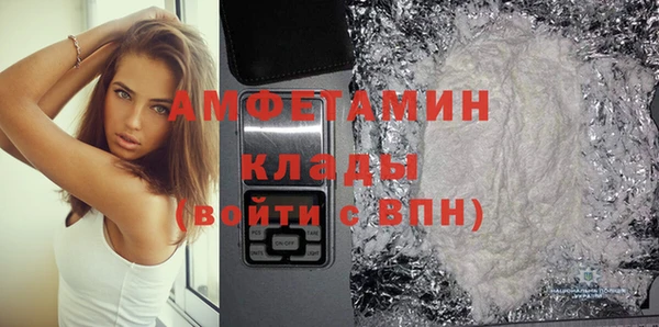 индика Арсеньев