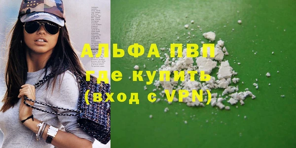индика Арсеньев