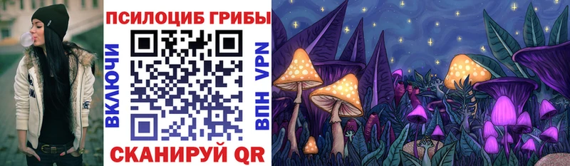 Галлюциногенные грибы Psilocybine cubensis  Фокино 